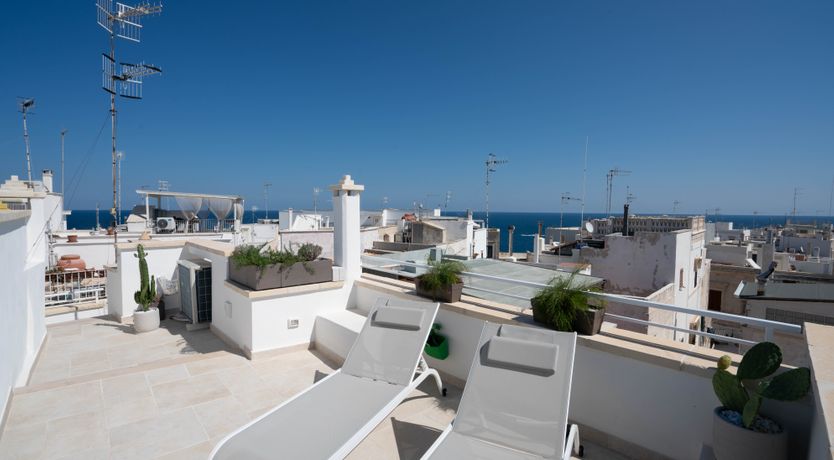 Photo of Rays the Roof