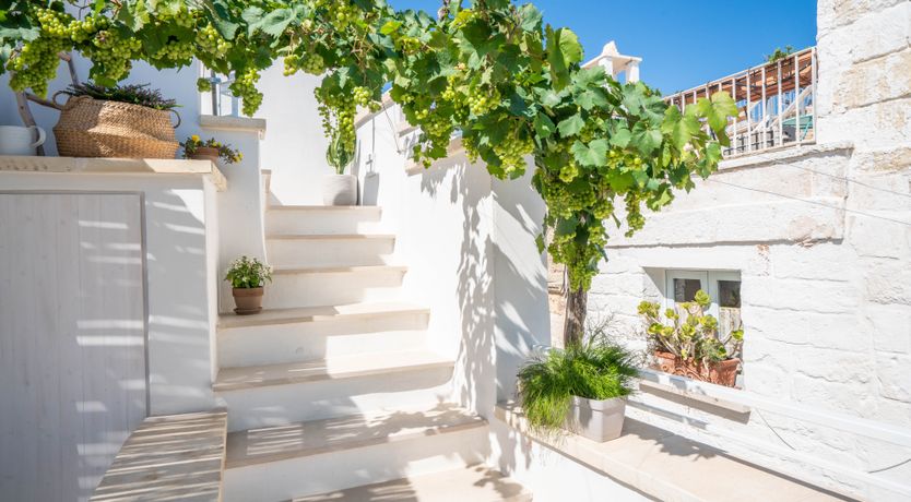 Photo of Rays the Roof