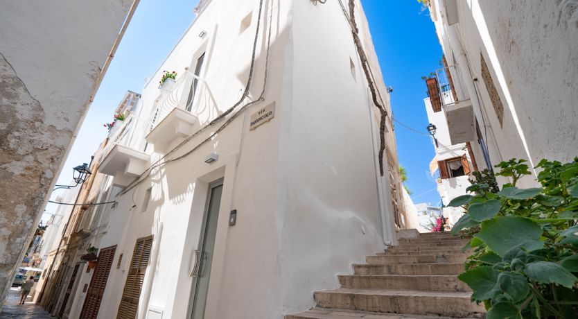 Photo of Rays the Roof