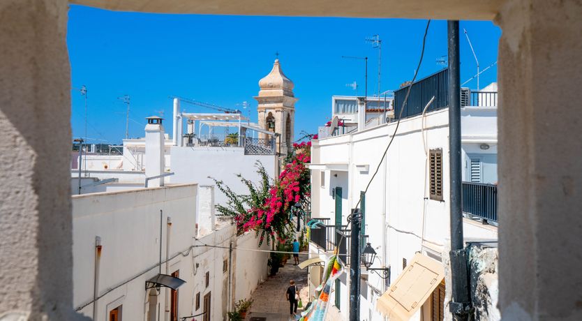 Photo of Rays the Roof