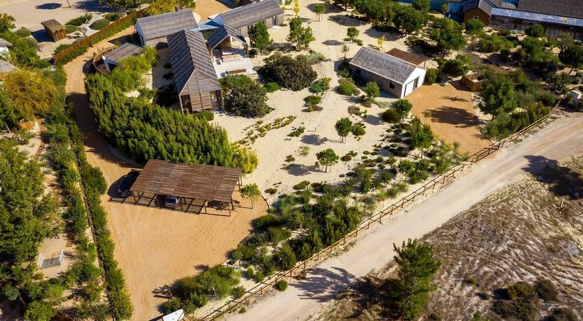 Photo of Golden Earth