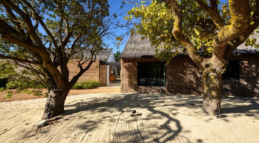 Photo of Golden Earth