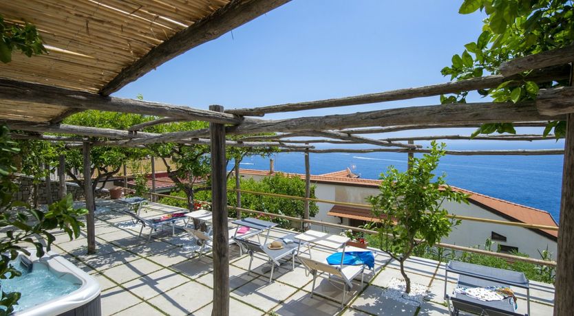 Photo of The Midnight Moon