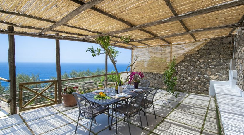 Photo of The Midnight Moon