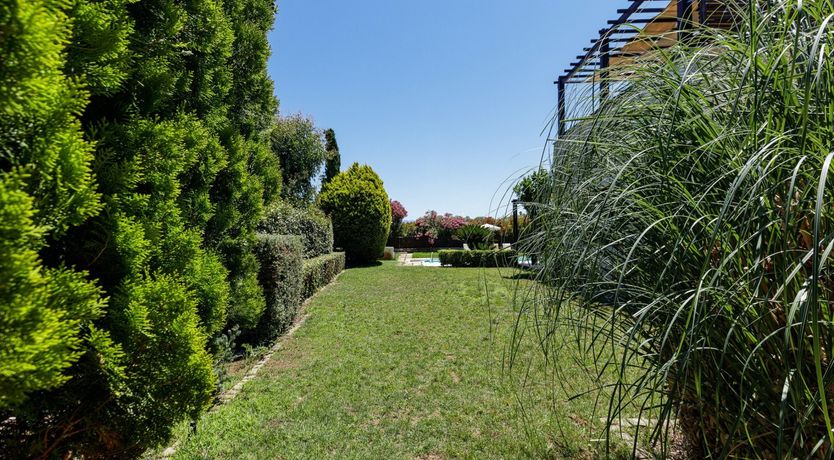 Photo of Ariadne's Escape