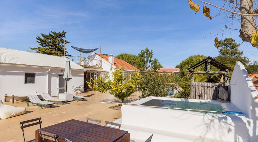 Photo of Around the Mulberry Bush