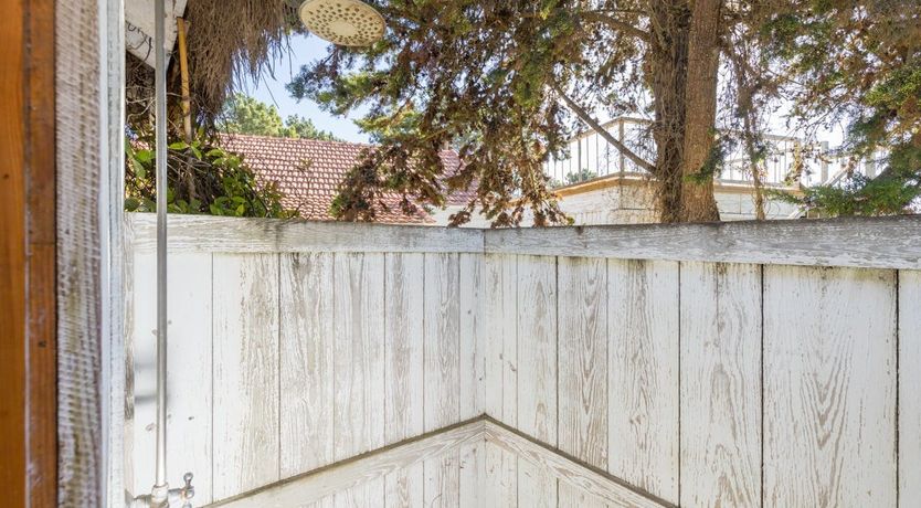 Photo of Around the Mulberry Bush