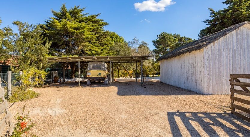 Photo of Around the Mulberry Bush