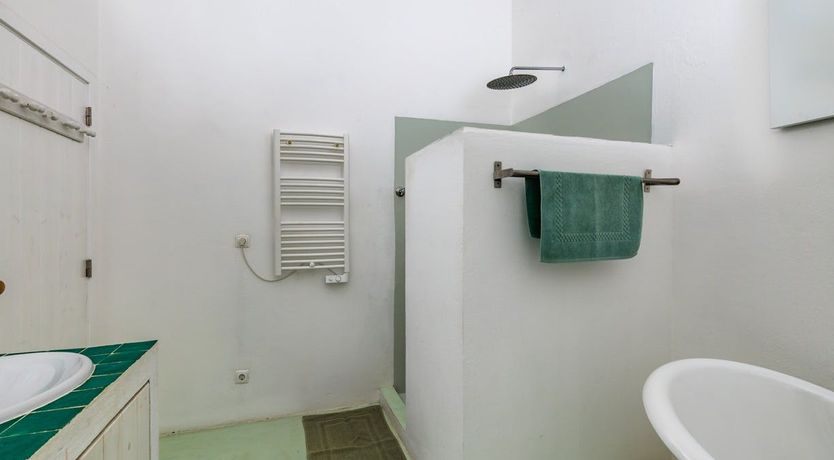 Photo of Around the Mulberry Bush