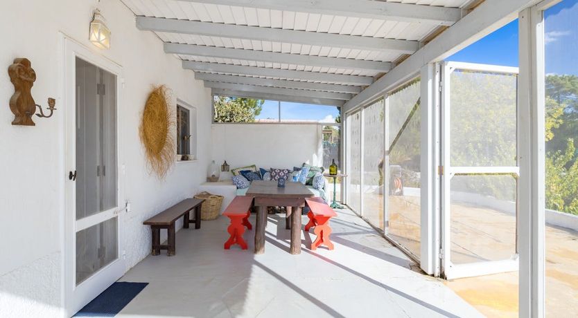 Photo of Around the Mulberry Bush