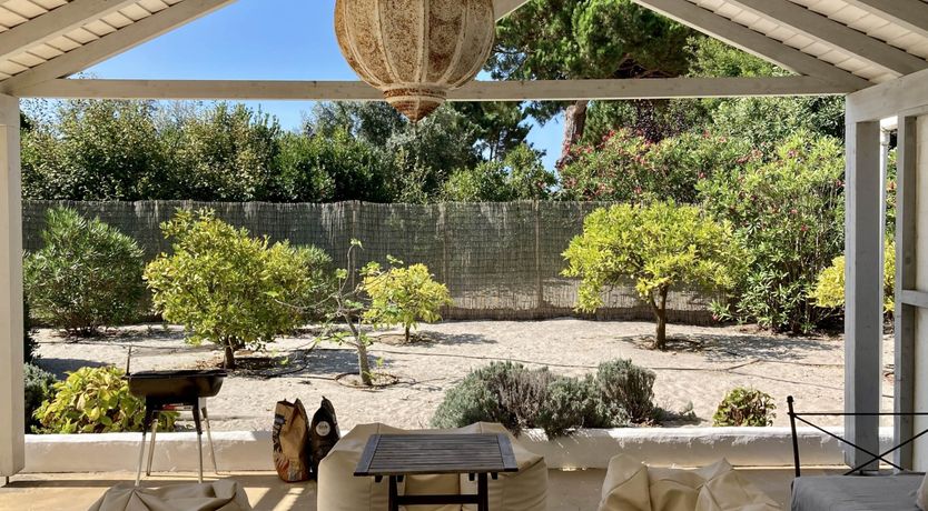 Photo of Around the Mulberry Bush