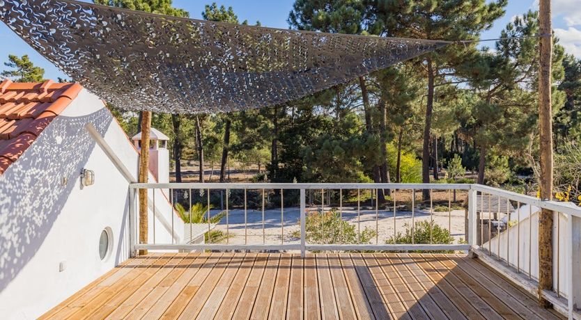 Photo of Around the Mulberry Bush