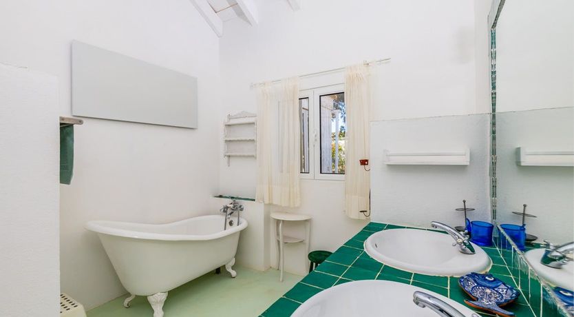 Photo of Around the Mulberry Bush