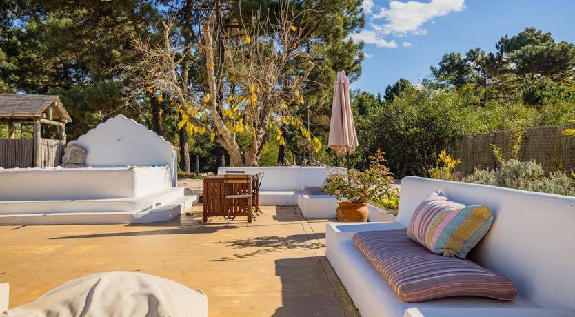 Photo of Around the Mulberry Bush