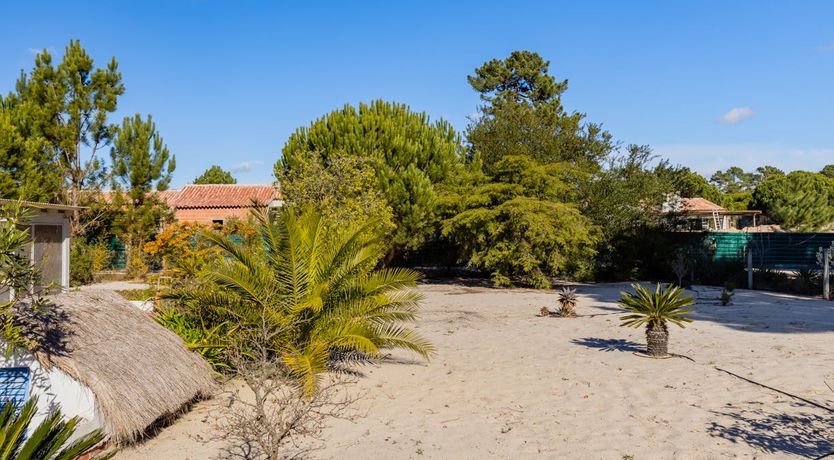 Photo of Around the Mulberry Bush