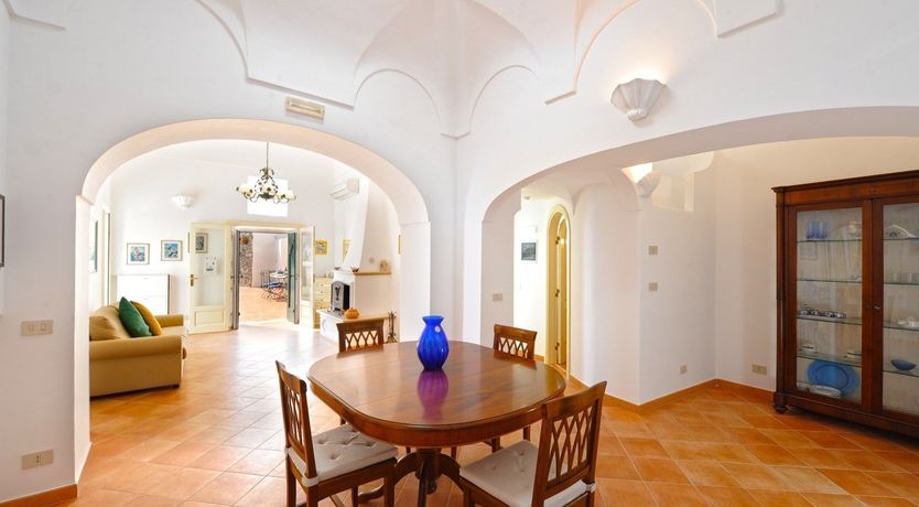 Photo of Vintage Vibrance