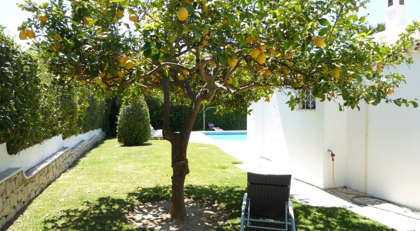 Photo of The Coastal Kaleidoscope