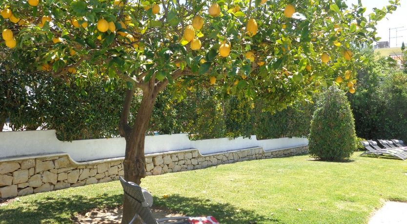 Photo of The Coastal Kaleidoscope