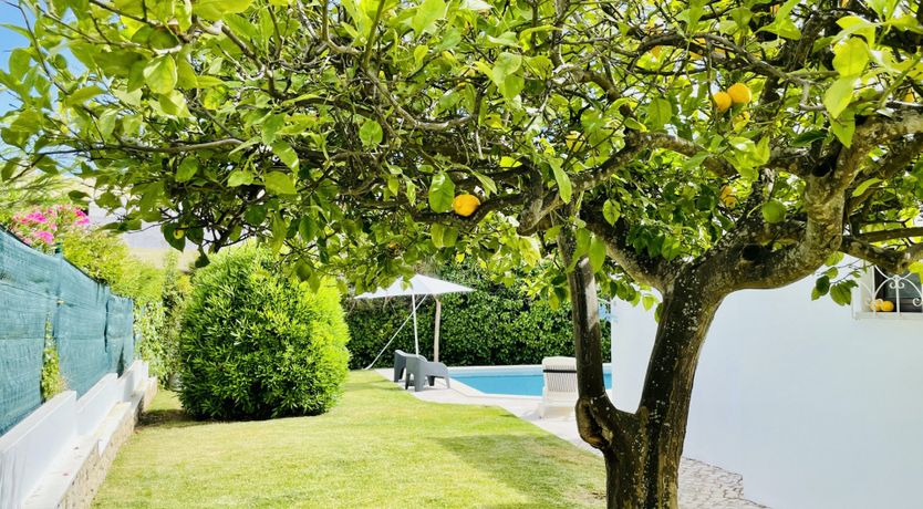 Photo of The Coastal Kaleidoscope