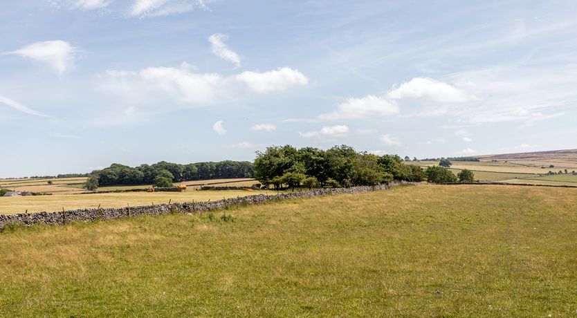 Photo of Green Fields