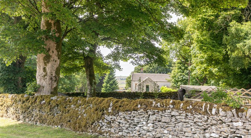 Photo of Green Fields