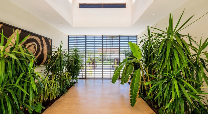 Photo of Hibiscus Tea