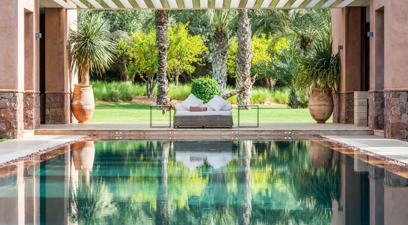 Photo of Hibiscus Tea