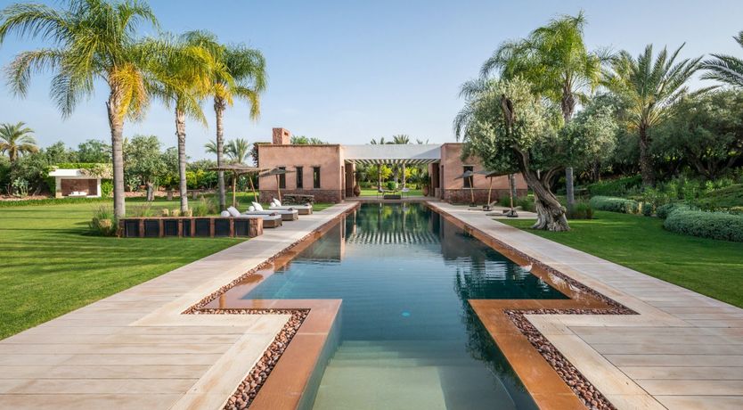 Photo of Hibiscus Tea