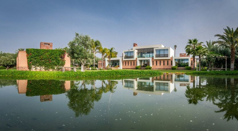 Photo of Hibiscus Tea