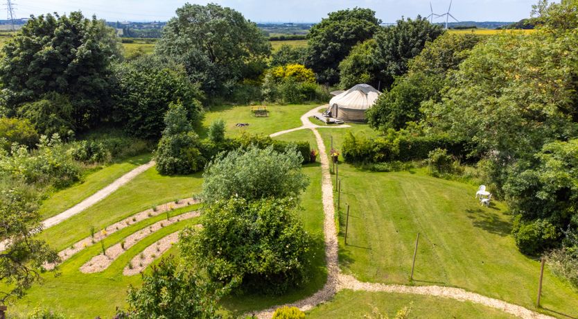 Photo of One Last Dance