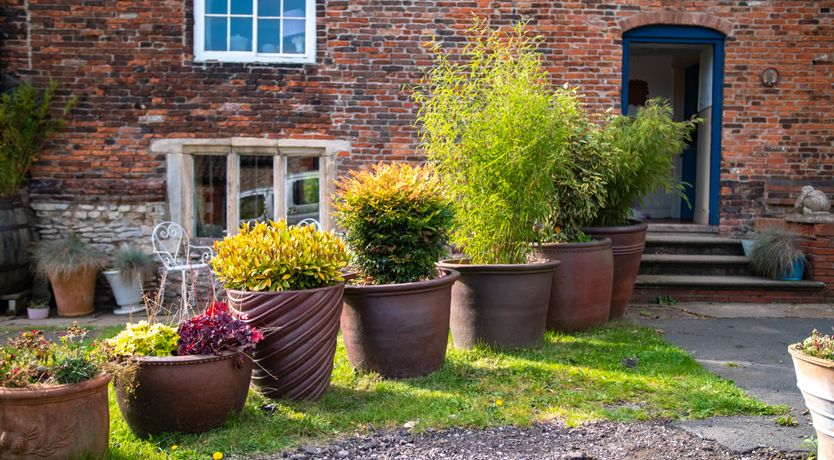 Photo of One Last Dance