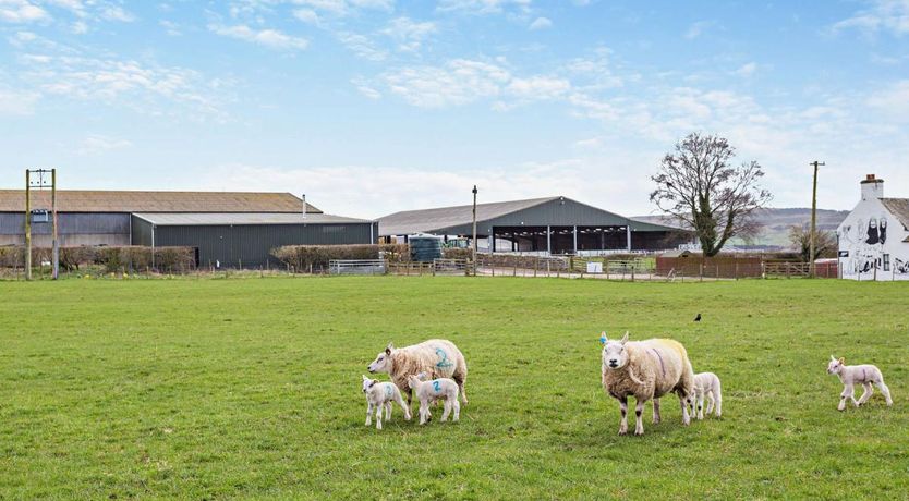 Photo of 2 Bed in Fearn