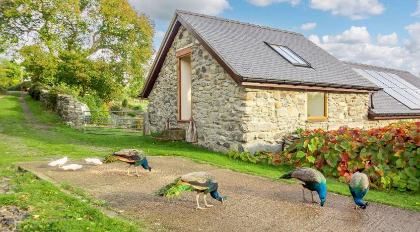 Photo of 1 Bed in Tyn-y-Groes