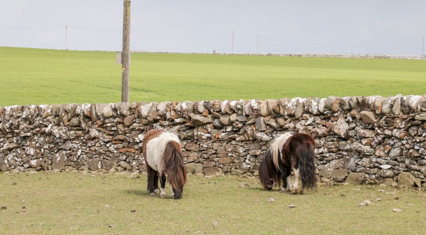 Photo of Ketburn Shepherds Hut at Balnab Farm