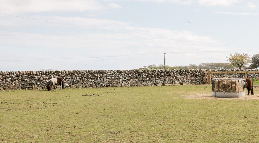 Photo of Ketburn Shepherds Hut at Balnab Farm