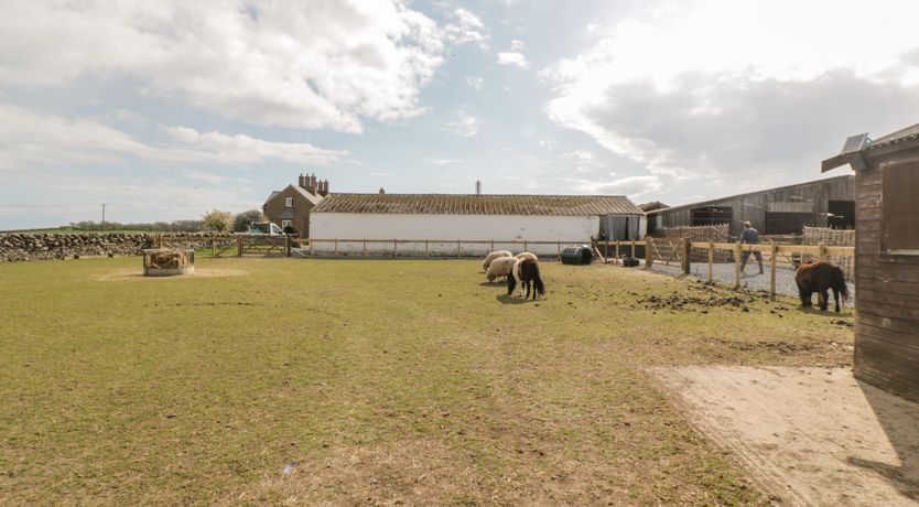 Photo of Ketburn Shepherds Hut at Balnab Farm