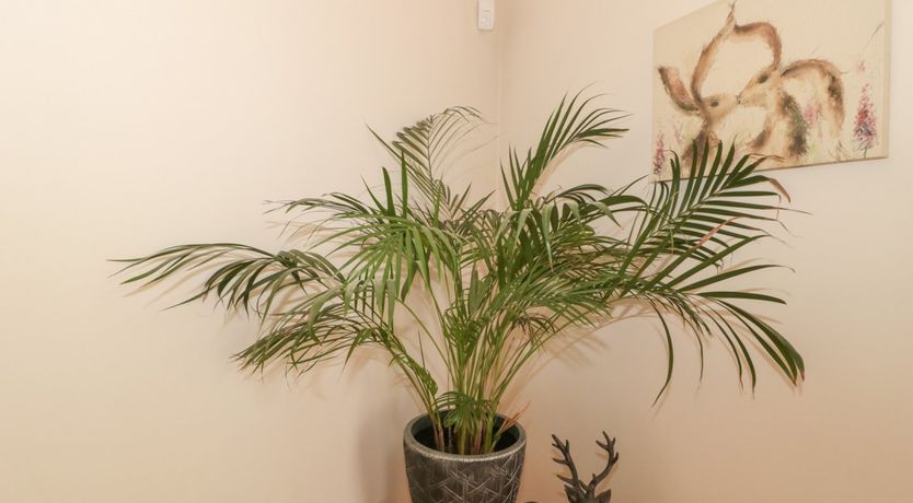 Photo of Pips Hideaway