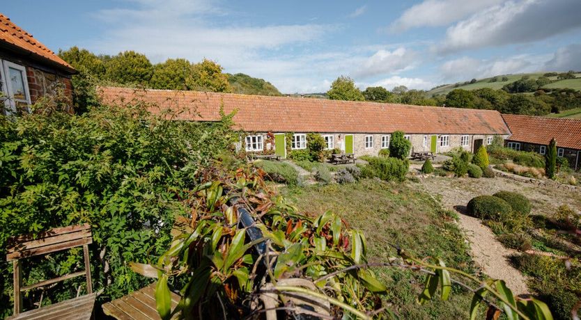 Photo of Sweet Pea & Ivy