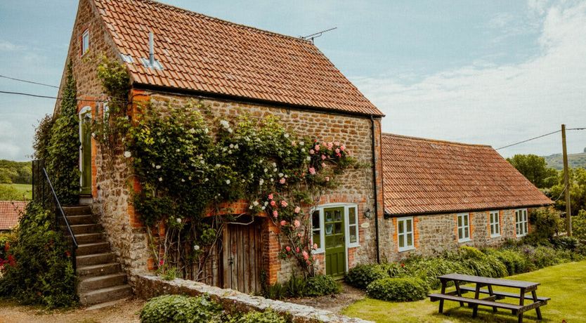 Photo of Sweet Pea & Ivy