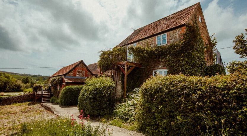 Photo of Sweet Pea & Ivy