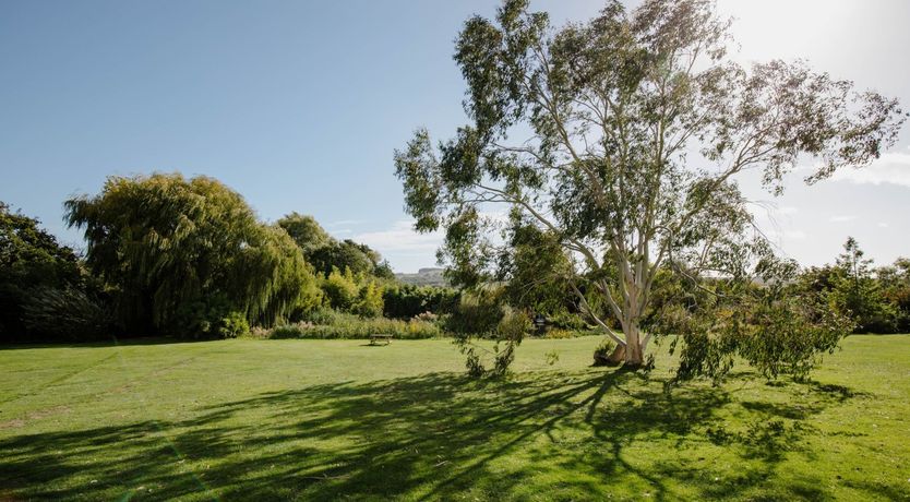 Photo of Sweet Pea & Ivy