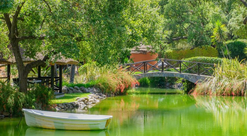 Photo of Flamingo Flamenco