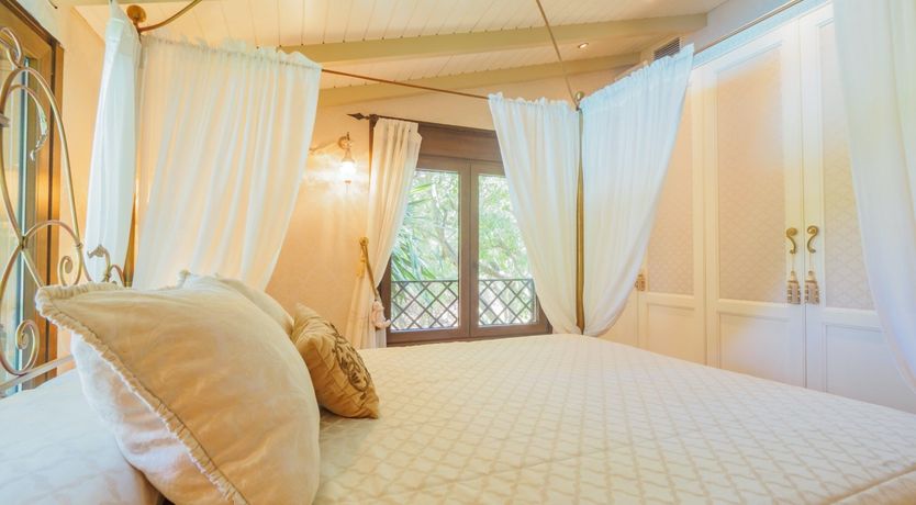 Photo of Flamingo Flamenco