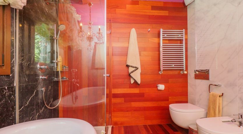 Photo of Flamingo Flamenco