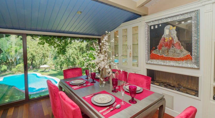 Photo of Flamingo Flamenco