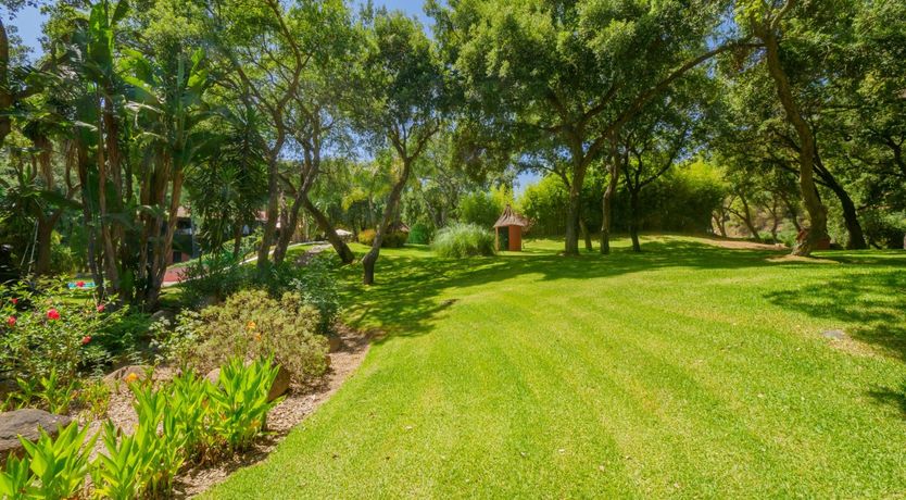 Photo of Flamingo Flamenco