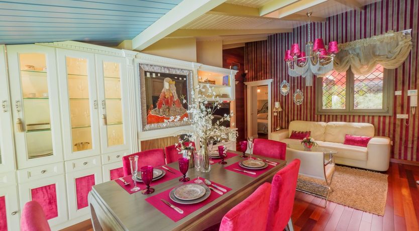 Photo of Flamingo Flamenco