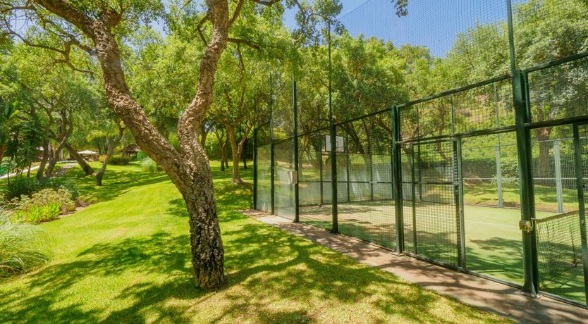 Photo of Flamingo Flamenco