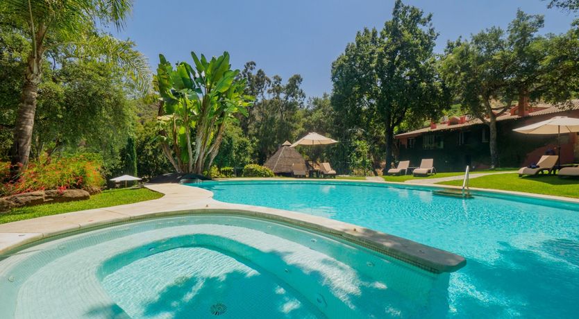 Photo of Flamingo Flamenco