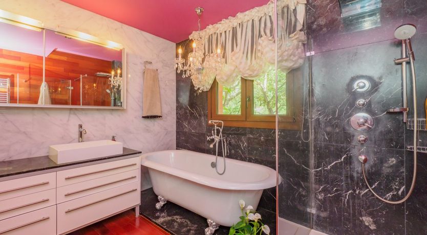 Photo of Flamingo Flamenco